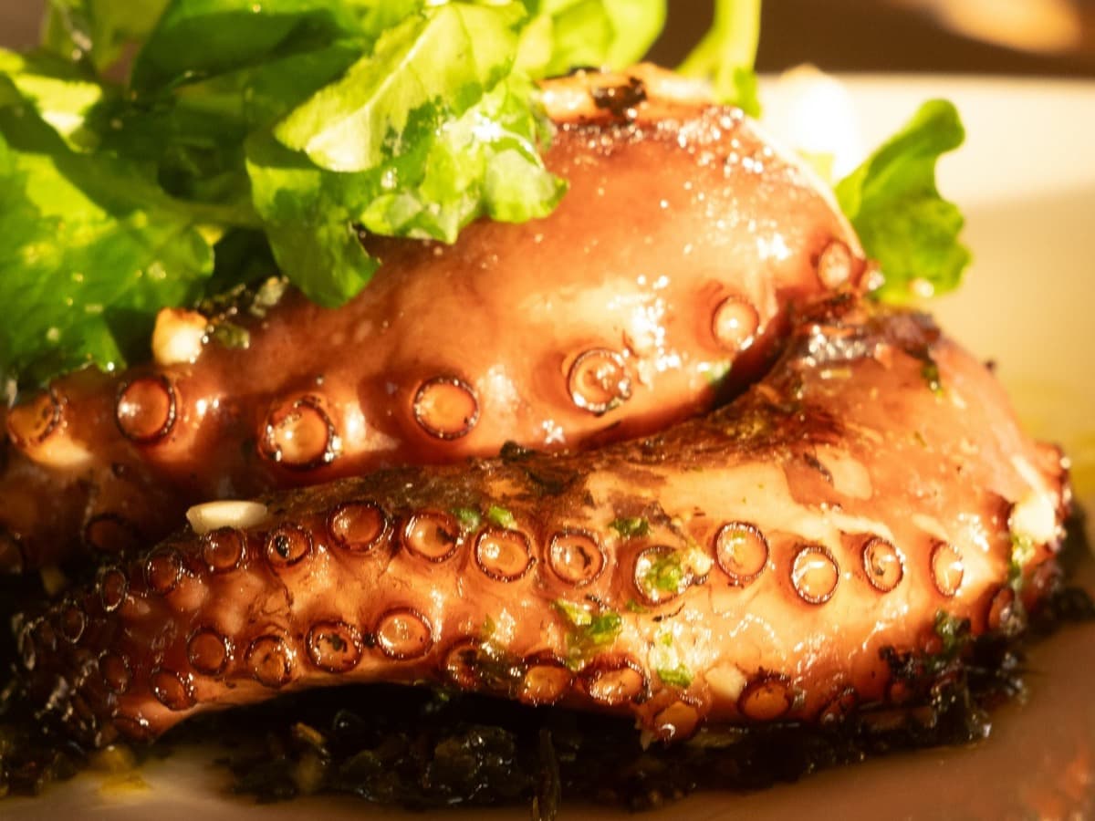 Charred Octopus — Salt & Olive dish photo